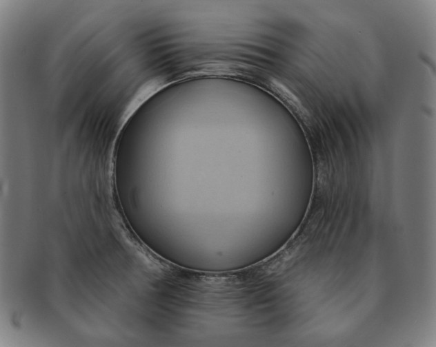 X0000090981378200708241353