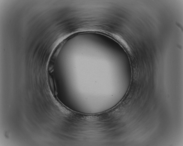 X0000090981380200708241353