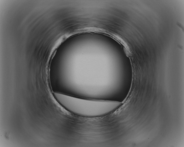 X0000090981381200708241353