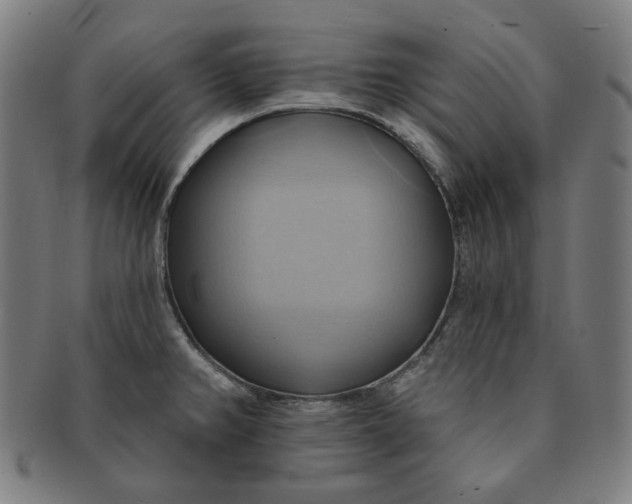 X0000090981382200708241353