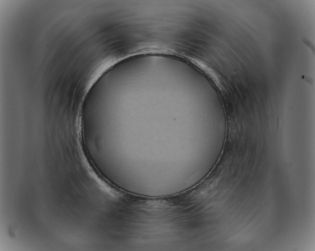 X0000090981383200708241353