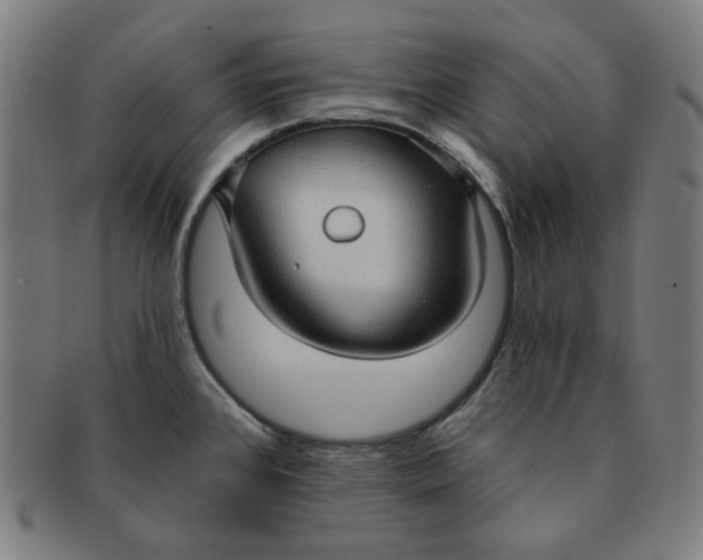 X0000090981384200708241353