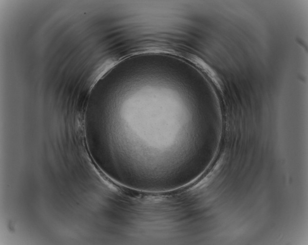 X0000090981385200708241353