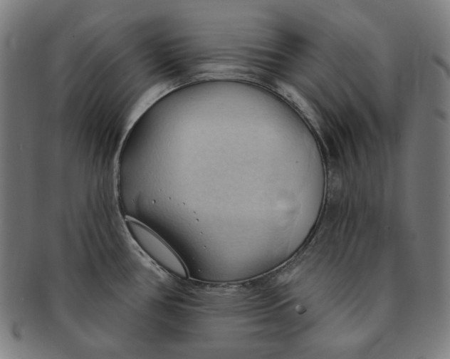 X0000090981386200708241353