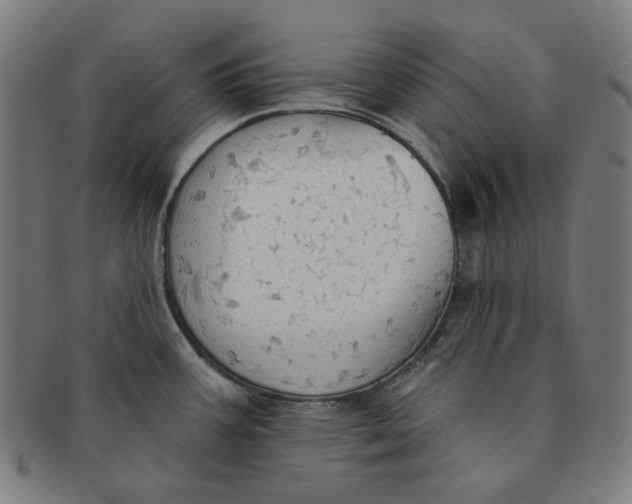 X0000090981387200708241353
