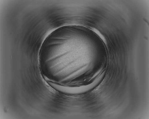 X0000090981388200708241353