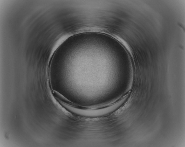 X0000090981389200708241353