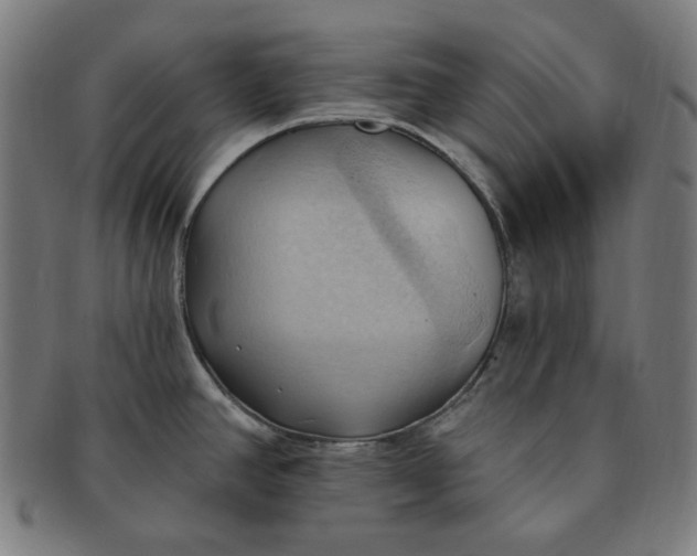 X0000090981390200708241353