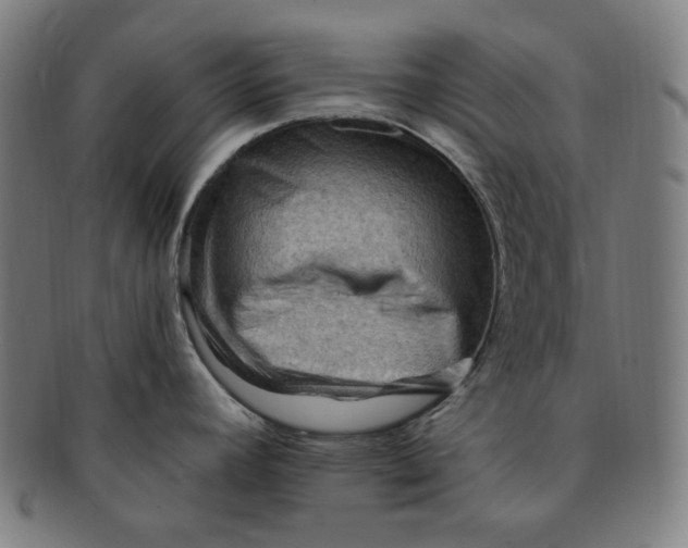 X0000090981392200708241353