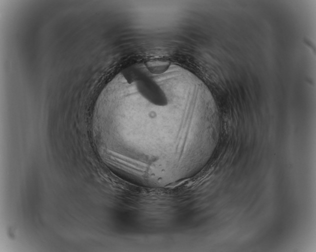 X0000090981393200708241352