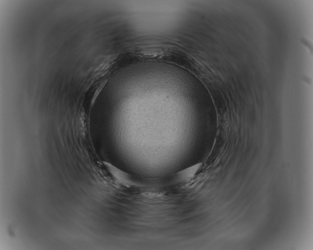 X0000090981394200708241352