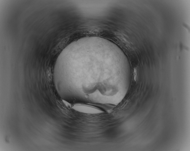 X0000090981395200708241352