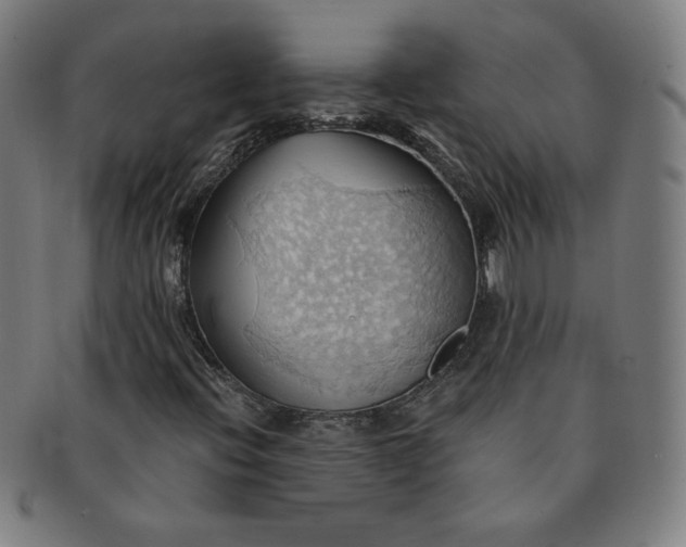 X0000090981396200708241352