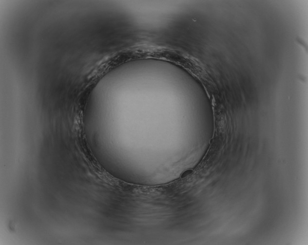 X0000090981397200708241352