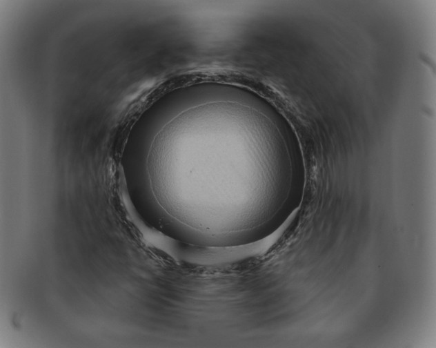 X0000090981398200708241352