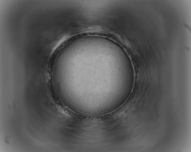 X0000090981400200708241352