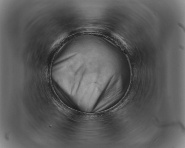 X0000090981403200708241352