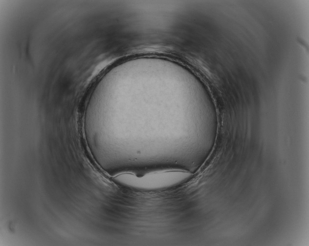 X0000090981404200708241352