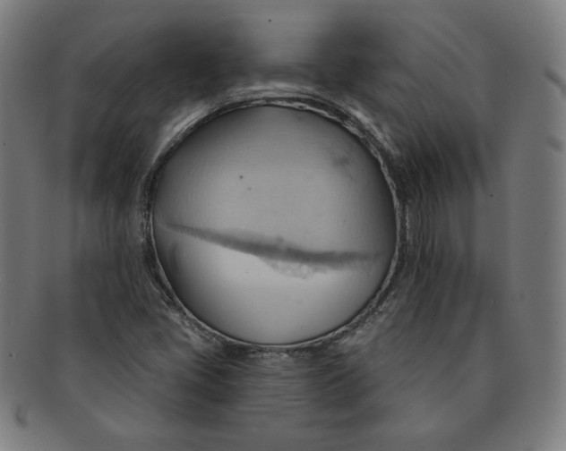 X0000090981405200708241352