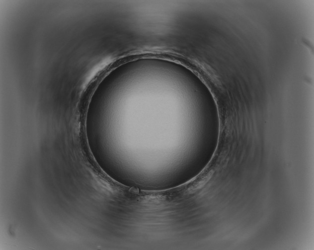 X0000090981406200708241352