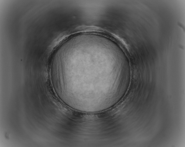 X0000090981407200708241352
