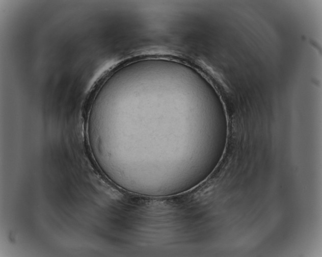 X0000090981408200708241352
