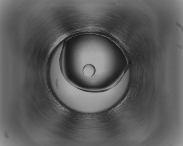 X0000090981410200708241352