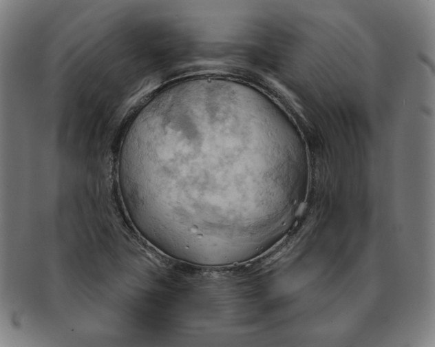 X0000090981411200708241352