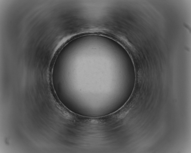X0000090981412200708241352