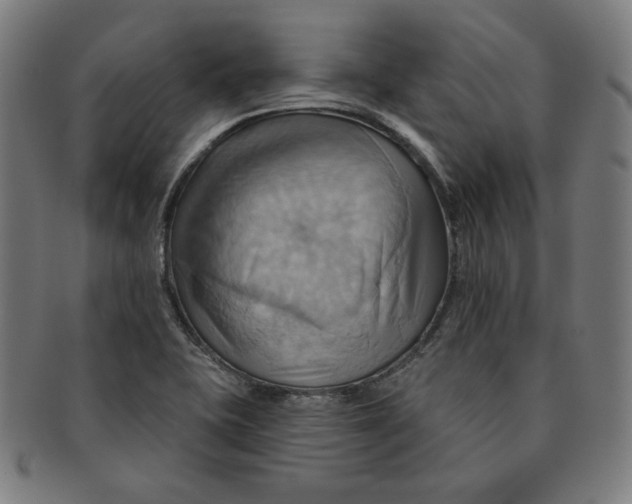 X0000090981415200708241353