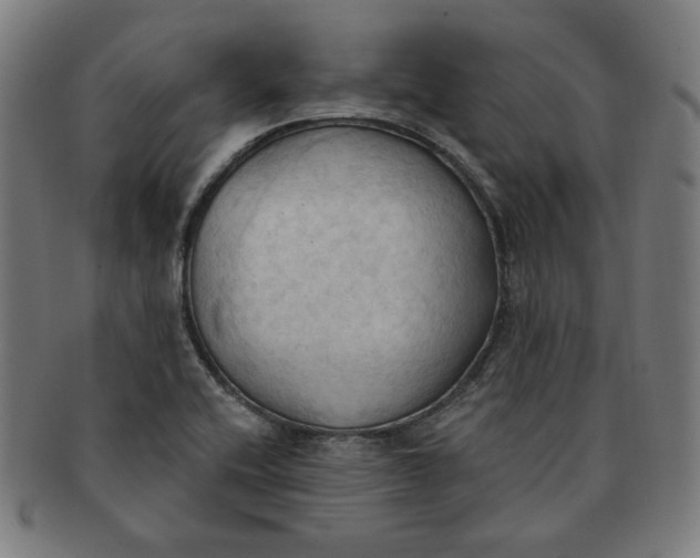 X0000090981416200708241353