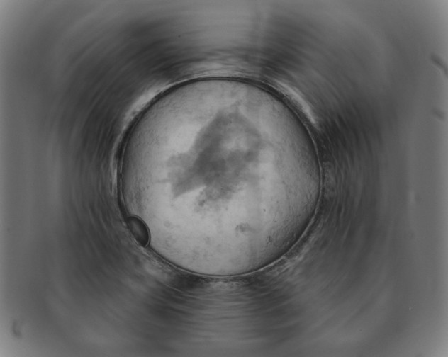 X0000090981419200708241353