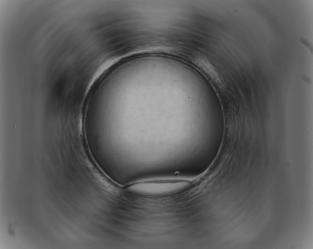 X0000090981420200708241353