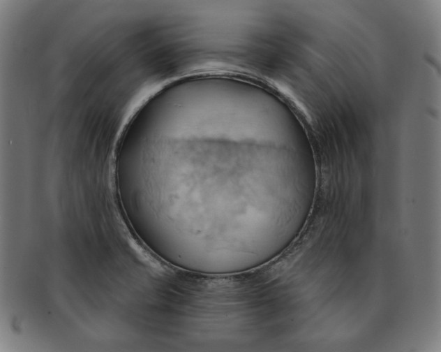 X0000090981421200708241353