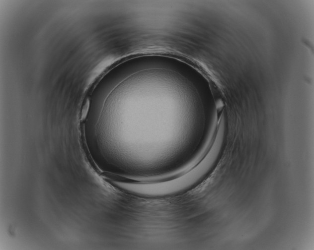 X0000090981422200708241353