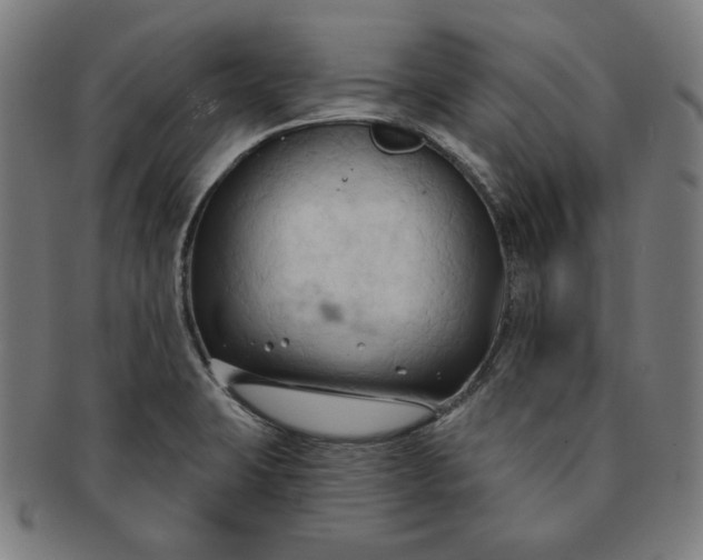 X0000090981423200708241353