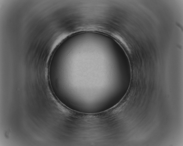 X0000090981424200708241353