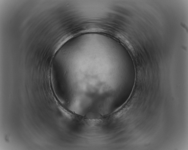 X0000090981425200708241353