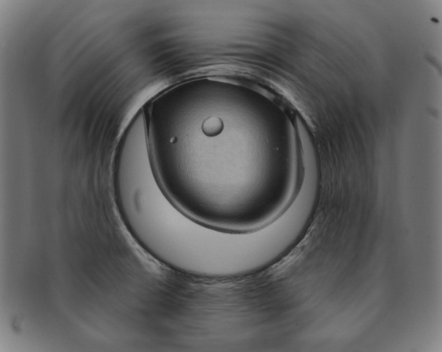 X0000090981426200708241353