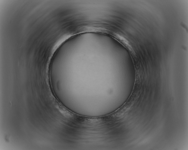 X0000090981427200708241353
