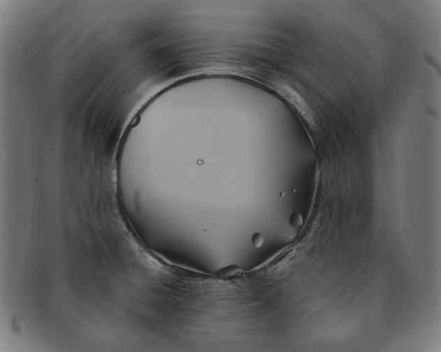 X0000090981428200708241353