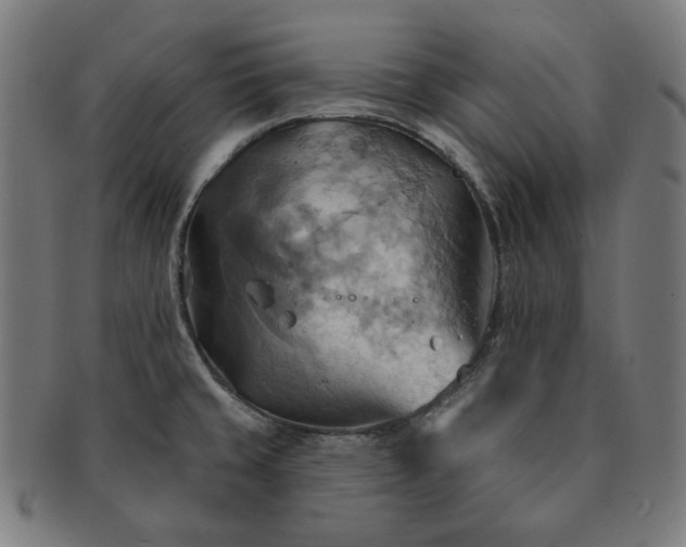 X0000090981429200708241353