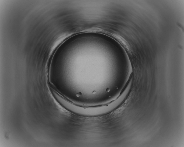X0000090981430200708241353