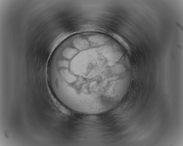 X0000090981431200708241353