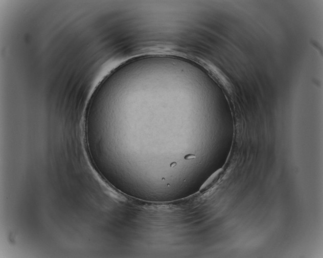 X0000090981432200708241353