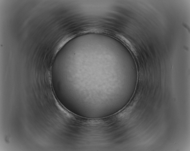 X0000090981433200708241353