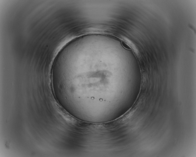 X0000090981435200708241353