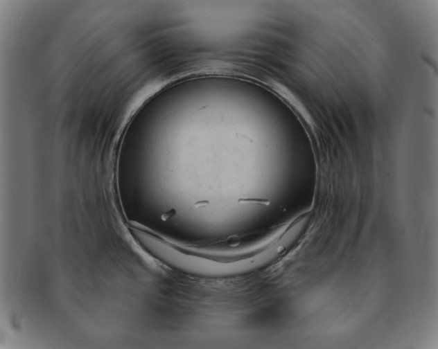 X0000090981437200708241353