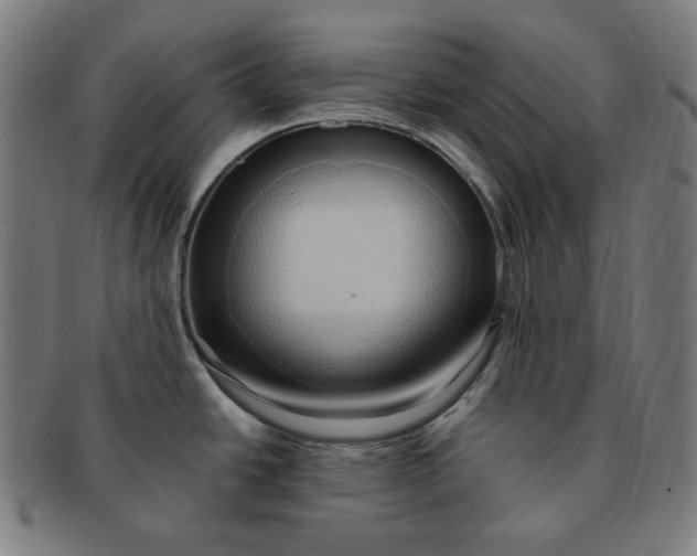 X0000090981438200708241353