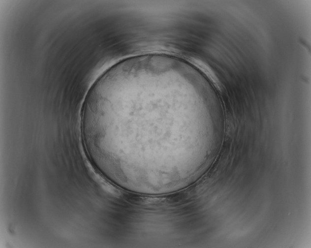 X0000090981439200708241353
